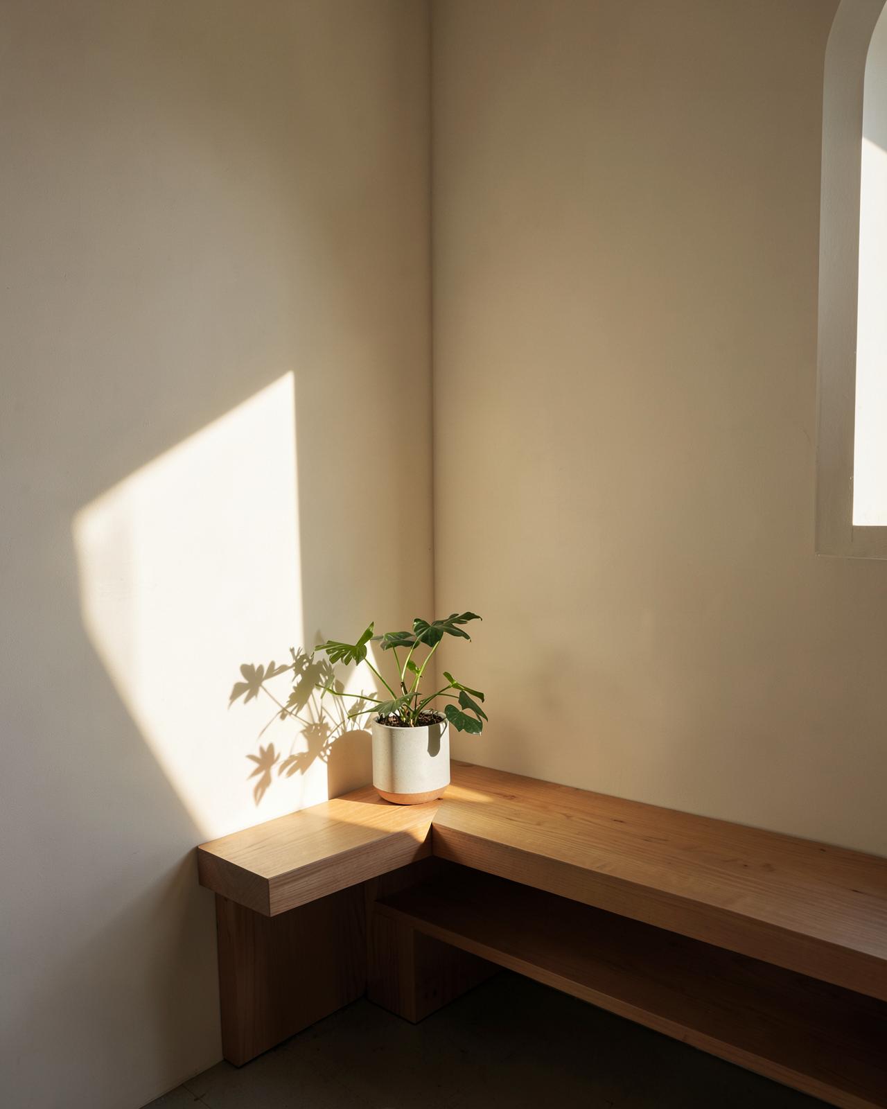 A quiet corner of The Cubicle with a wooden bench, a plant and afternoon light on a cream wall